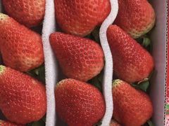 -百顺德海鲜自助(兴海名都广场店)