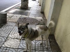 -春风十里咖啡馆