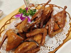 -津津菜馆(绝没分店)