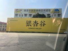 -千年银杏谷文化旅游区