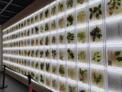 -广东中医药博物馆