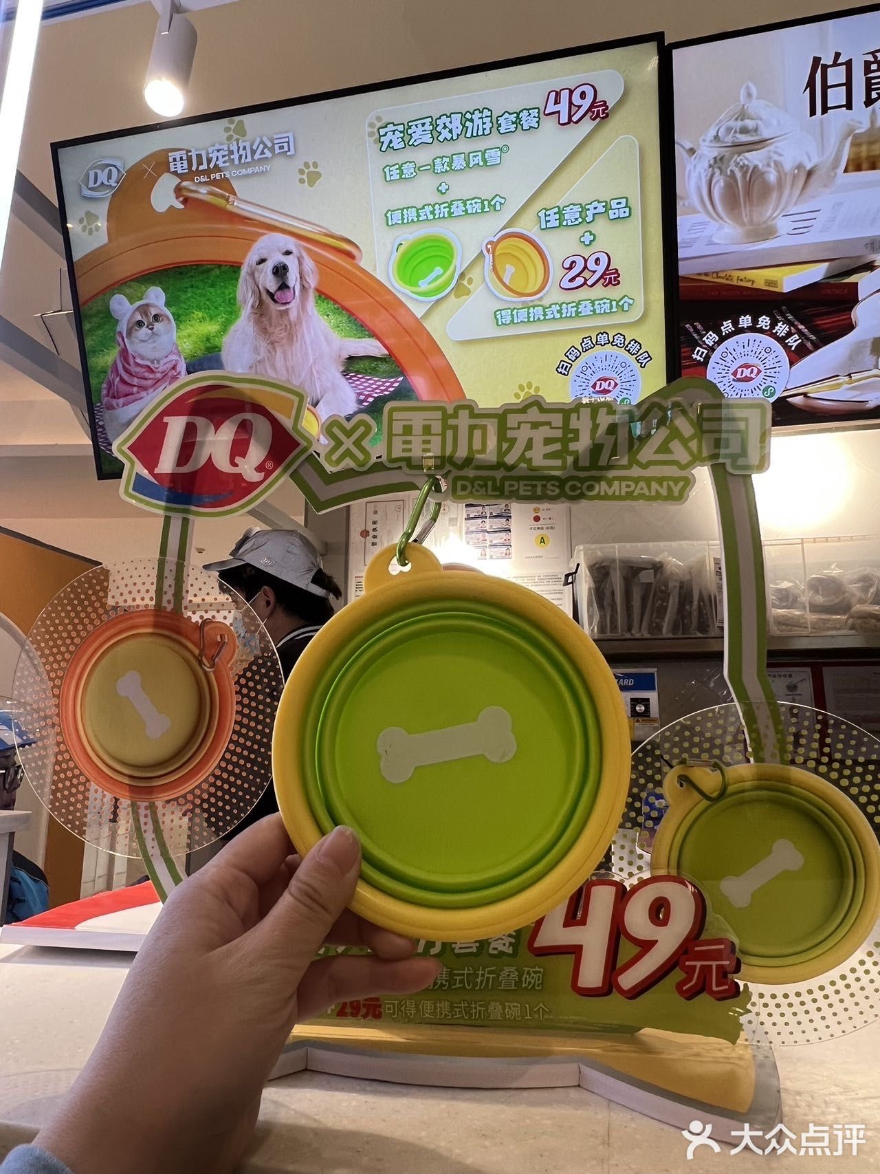 DQ爱宠周边冲啦！随身携带出门遛狗再也不怕狗狗渴了