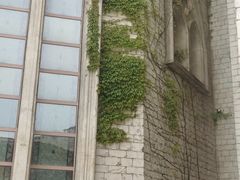 -华谊兄弟（长沙）电影小镇