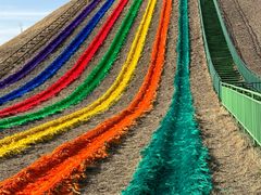 -中国马镇舞马世界主题乐园