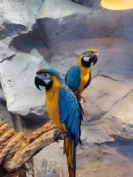 -Zoolung Zoolung动物主题公园(海信广场店)