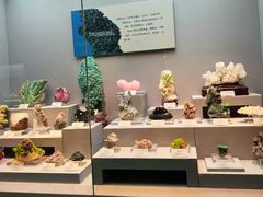 -湖南省地质博物馆