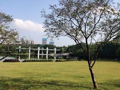 -东莞植物园