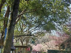 -杭州植物园