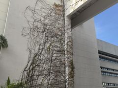 -香港大学