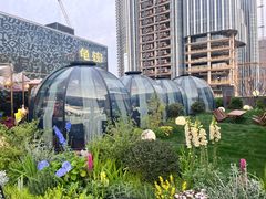 -龟兹KUCINA·新疆菜(前滩L+PLAZA店)