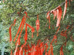 -句容茅山景区