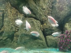 -苏州海洋馆
