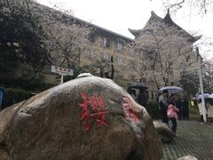 -武汉大学-樱园