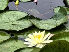 -丝绸小镇荻港古村
