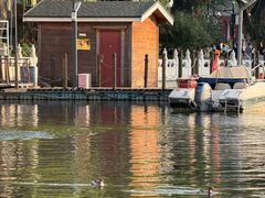 -后海16号·北京私房菜