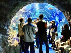 -海合安成都极地海洋公园