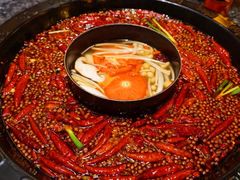 -渝大狮毛肚老火锅(普陀店)