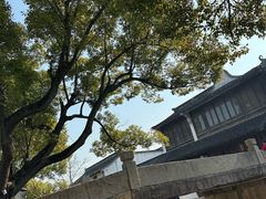 -黎里古镇
