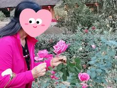 -韶关经律论国际酒店温泉