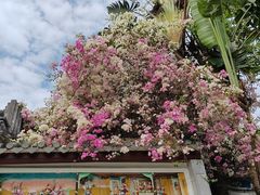 -深圳国际园林花卉博览园