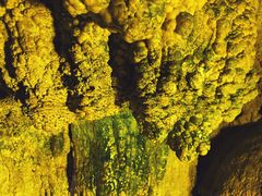 -百里山水画廊乌龙峡谷