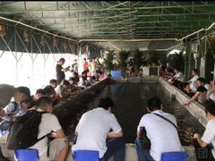 -会江钓鱼钓虾烧烤场