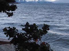 -深圳湾公园(南山区)