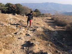 -阳台山自然风景区