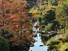 -云溪植物园