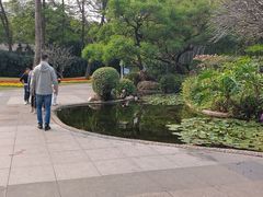 -晓港公园