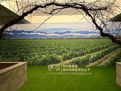 -源石酒庄