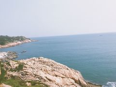 -广东惠东海龟国家级自然保护区
