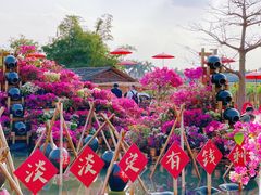 -盈香心动乐园