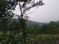 -金石滩蓝莓谷庄园
