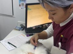 -艾贝尔宠物医院·宠保定点·超声绝育·免疫点(樱花路店)