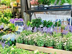 -循礼门鲜花花市(武汉循礼门店)