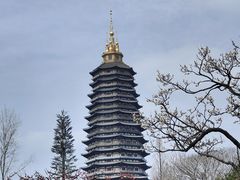 -红梅公园