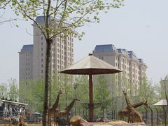 -大连森林动物园