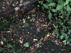 -九曜山