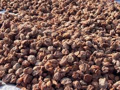 -苏州市吴中区光福窑上花果蜜饯厂