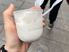 -洪馨椰子