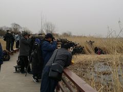 -绿堤公园