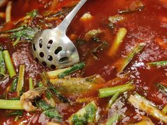 -院8里·小聚园老川菜(九眼桥店)