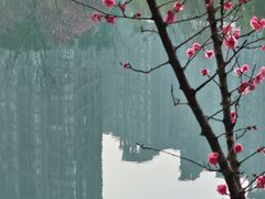 -望江楼公园