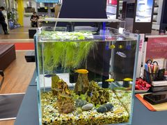 -京朋串屋·烧烤(望京西路总店)