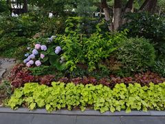 -常州古运河南大街文化旅游区-人民公园