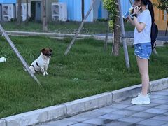 -极限PLAY运动娱乐新世界·团建派对潮玩休闲馆·室内蹦极高空游乐园
