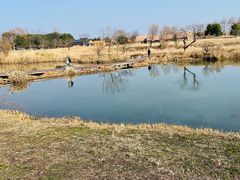 -良渚古城遗址公园