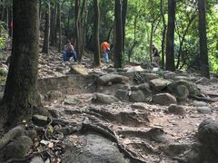景点-火炉山森林公园