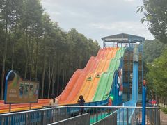 -重庆海昌加勒比海水世界